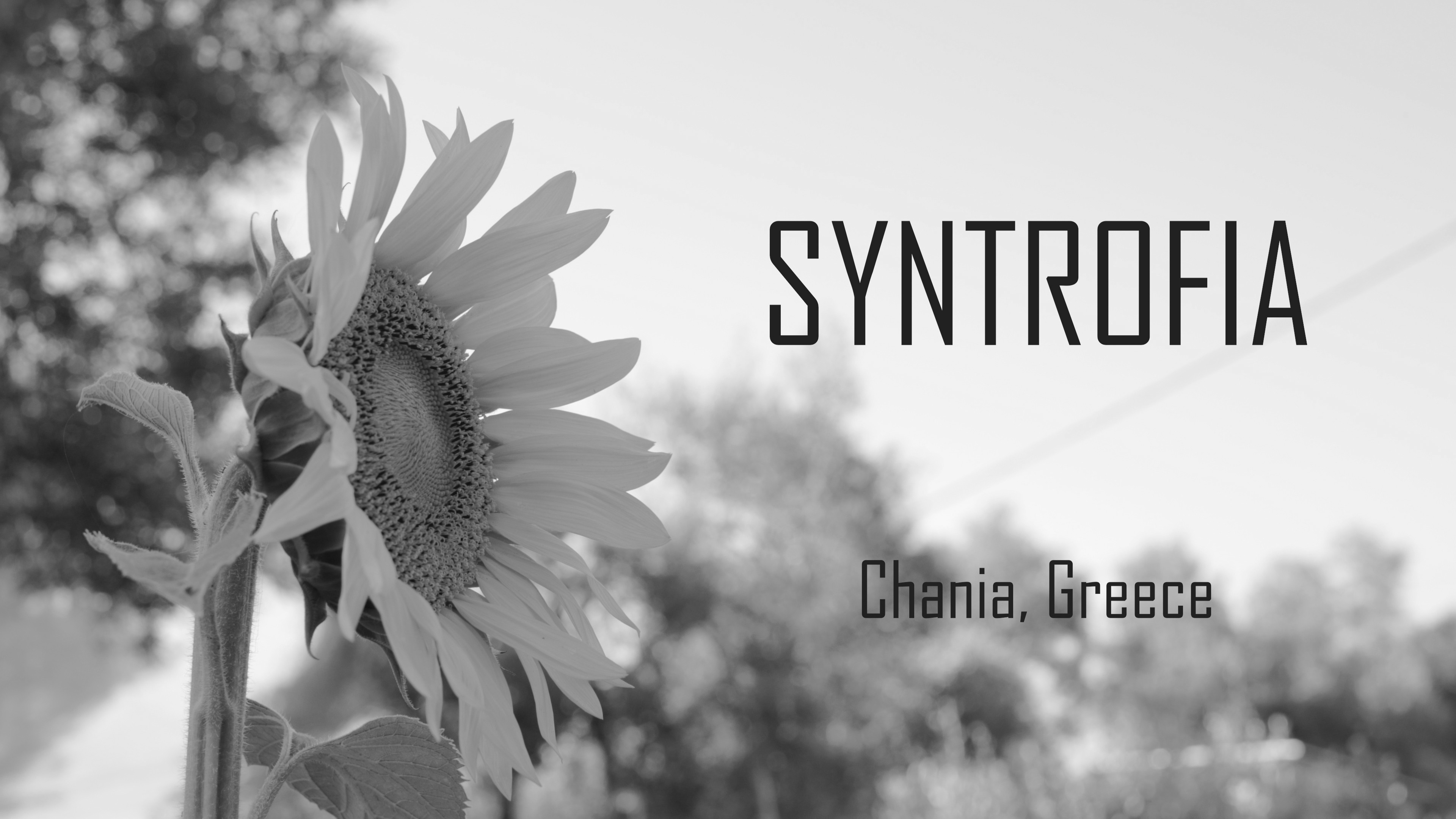 Syntrofia Prmaculture Project